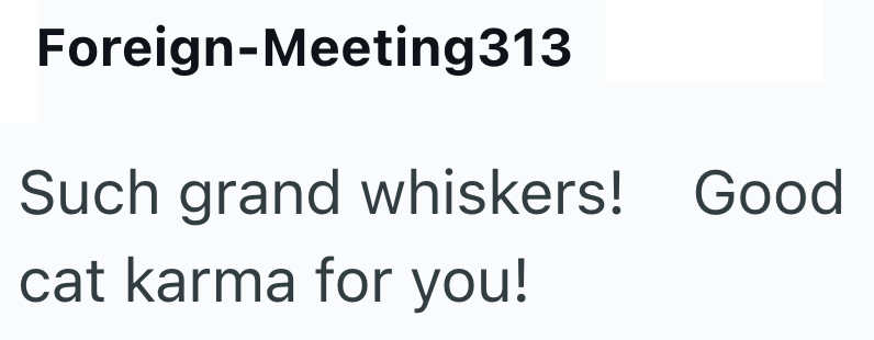 Foreign-Meeting313 Such grand whiskers! Good cat karma for you!
