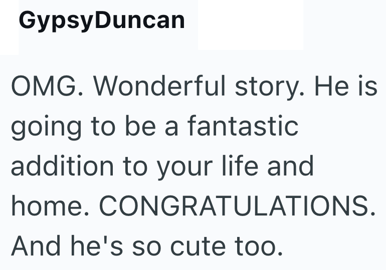 GypsyDuncan OMG. Wonderful story. He is going to be a fantastic addition to your life and home. CONGRATULATIONS. And he's so cute too.