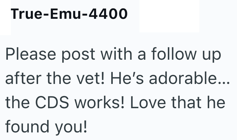 True-Emu-4400 Please post with a follow up after the vet! He's adorable... the CDS works! Love that he found you!