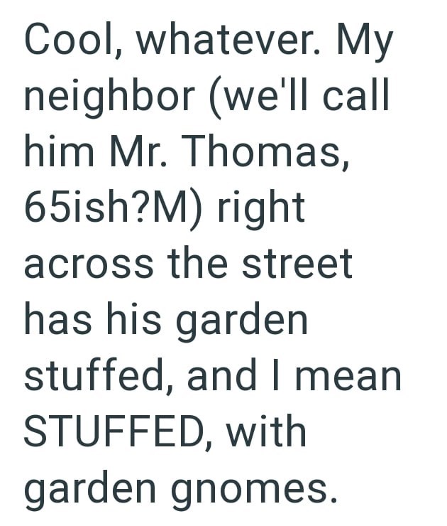Cool, whatever. My neighbor (we'll call him Mr. Thomas, 65ish?M) right across the street has his garden stuffed, and I mean STUFFED, with garden gnomes.