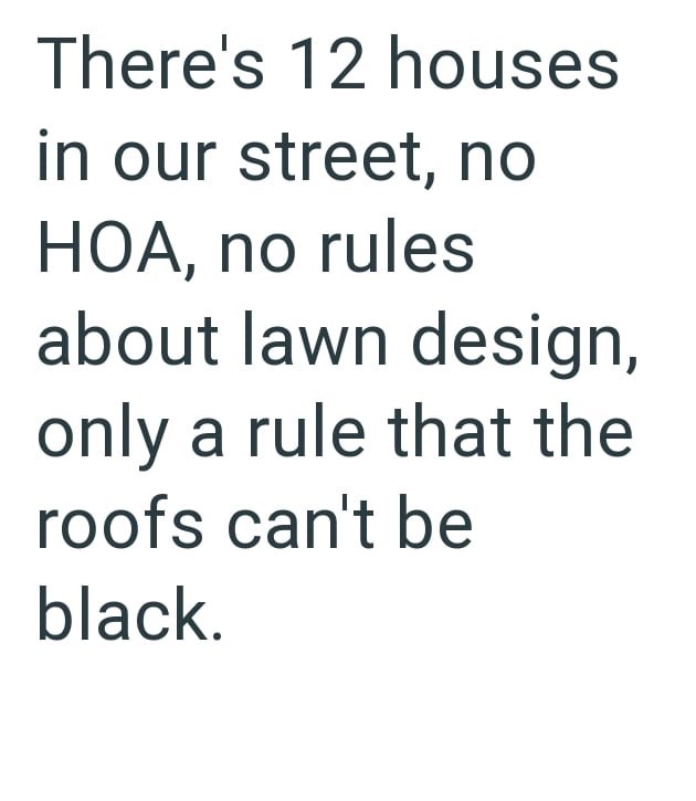 There's 12 houses in our street, no HOA, no rules about lawn design, only a rule that the roofs can't be black.