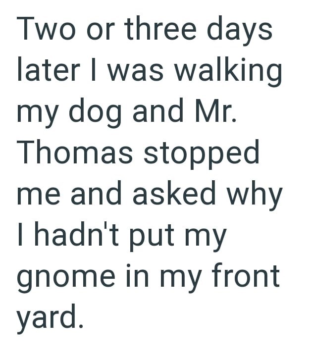 Two or three days later I was walking my dog and Mr. Thomas stopped me and asked why I hadn't put my gnome in my front yard.