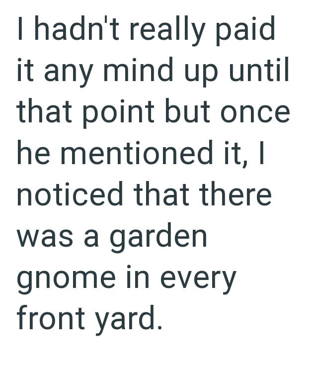 I hadn't really paid it any mind up until that point but once he mentioned it, | noticed that there was a garden gnome in every front yard.