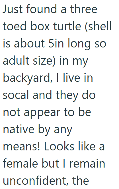 Cheezburger Image 10619509760