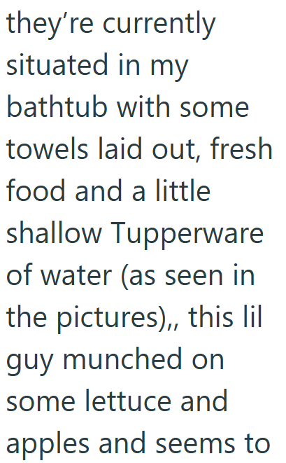 Cheezburger Image 10619510016