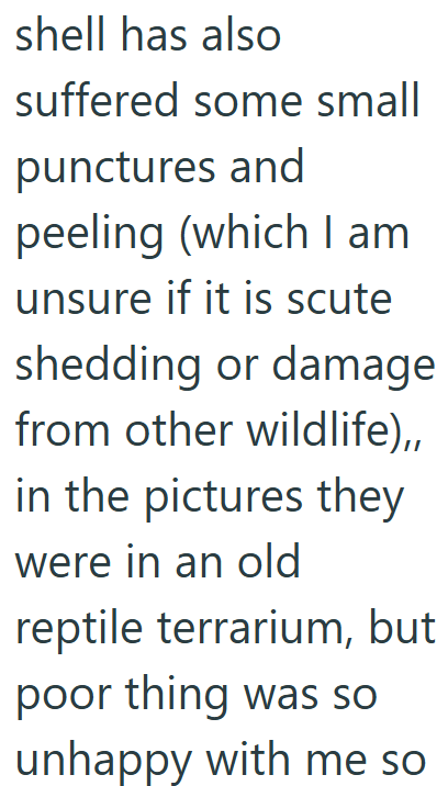 Cheezburger Image 10619510528