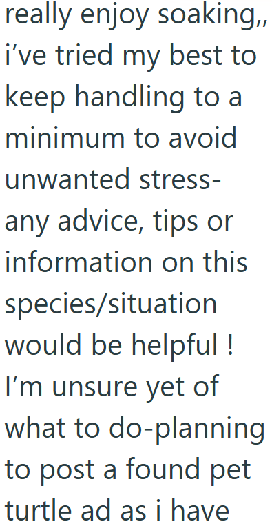 Cheezburger Image 10619511552