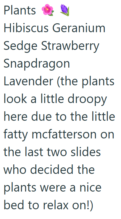 Cheezburger Image 10619512064