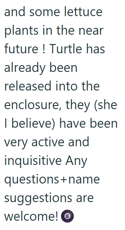 Cheezburger Image 10619512320