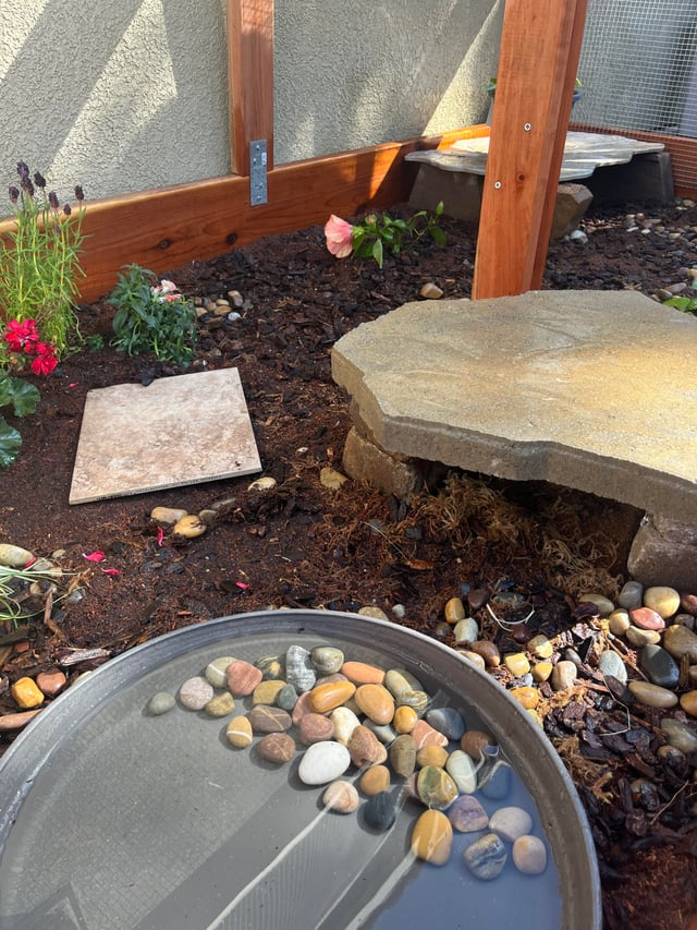 Cheezburger Image 10619512832