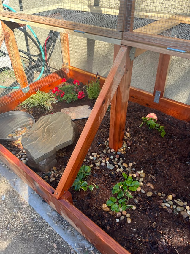 Cheezburger Image 10619513088