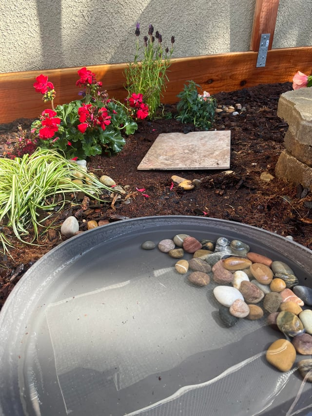 Cheezburger Image 10619513344