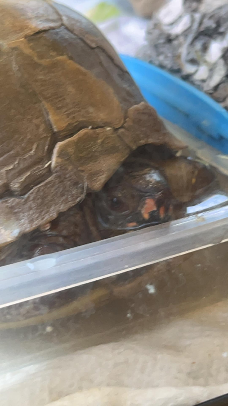 Cheezburger Image 10619513600