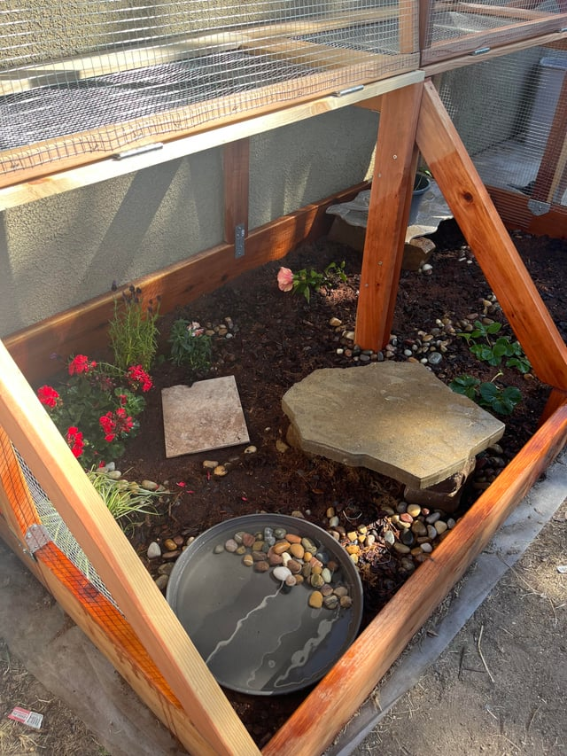 Cheezburger Image 10619514112