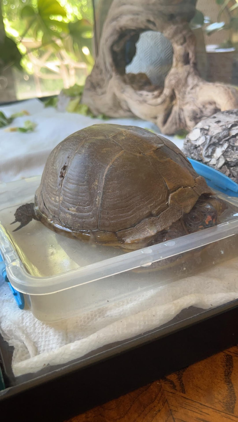 Cheezburger Image 10619514368