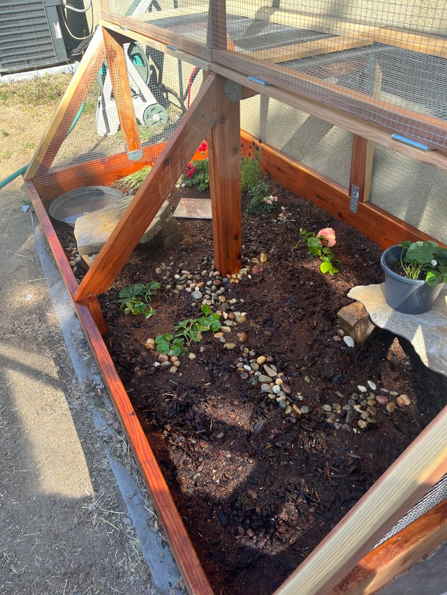 Cheezburger Image 10619514880