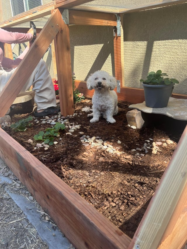 Cheezburger Image 10619515136