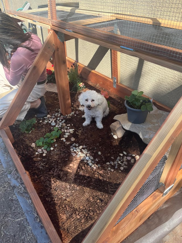 Cheezburger Image 10619515392