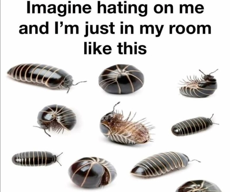 Imagine hating on me and I'm just in my room like this