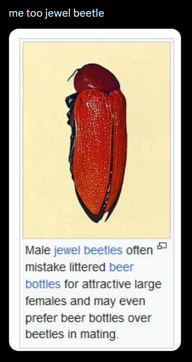 me too jewel beetle Male jewel beetles often mistake littered beer 品 bottles for attractive large females and may even prefer beer bottles over beetles in mating.