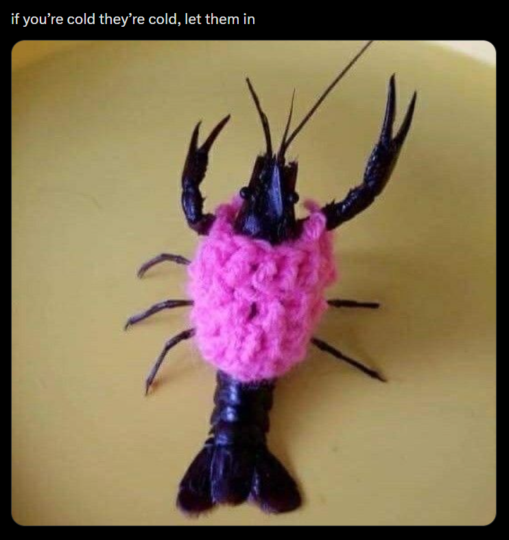 if you're cold they're cold, let them in