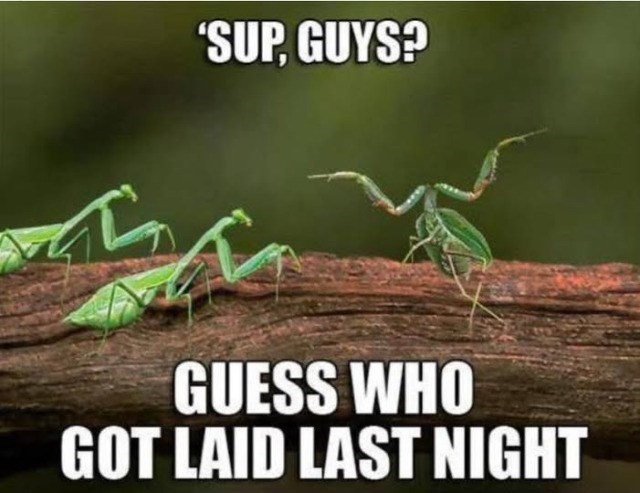 'SUP, GUYS? GUESS WHO GOT LAID LAST NIGHT