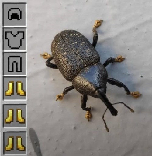 Cheezburger Image 10619523072