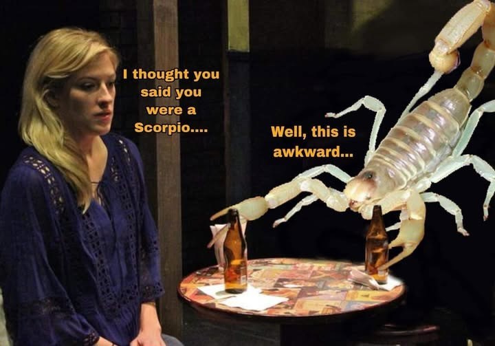 I thought you said you were a Scorpio.... Well, this is awkward...