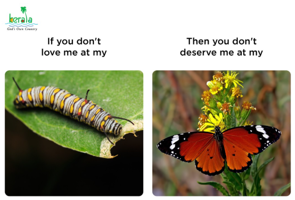 kerala God's Own Country If you don't love me at my Then you don't deserve me at my