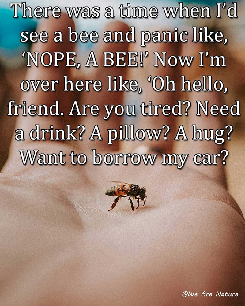 There was a time when I'd see a bee and panic like, 'NOPE, A BEE!' Now I'm over here like, 'Oh hello, friend. Are you tired? Need a drink? A pillow? A hug? Want to borrow my car? @We Are Nature