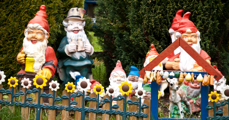 Garden gnomes on lawn.
