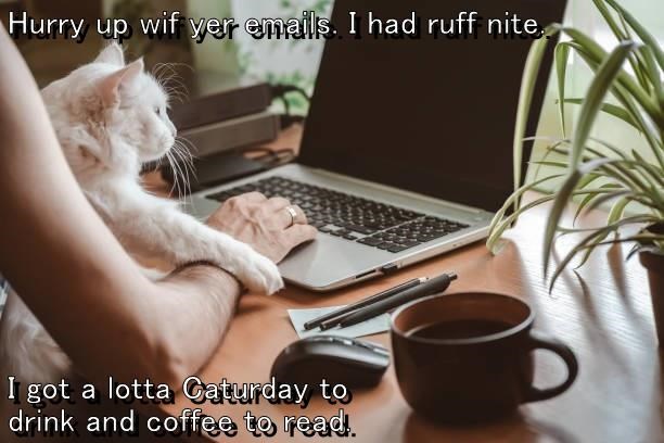 Cheezburger Image 10619532544