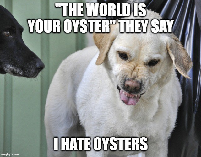 imgflip.com "THE WORLD IS YOUR OYSTER" THEY SAY I HATE OYSTERS