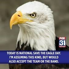 FOX 31 DENVER TODAY IS NATIONAL SAVE THE EAGLE DAY. I'M ASSUMING THIS KIND, BUT WOULD ALSO ACCEPT THE TEAM OR THE BAND.