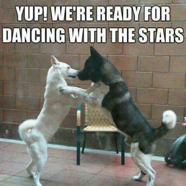YUP! WE'RE READY FOR DANCING WITH THE STARS
