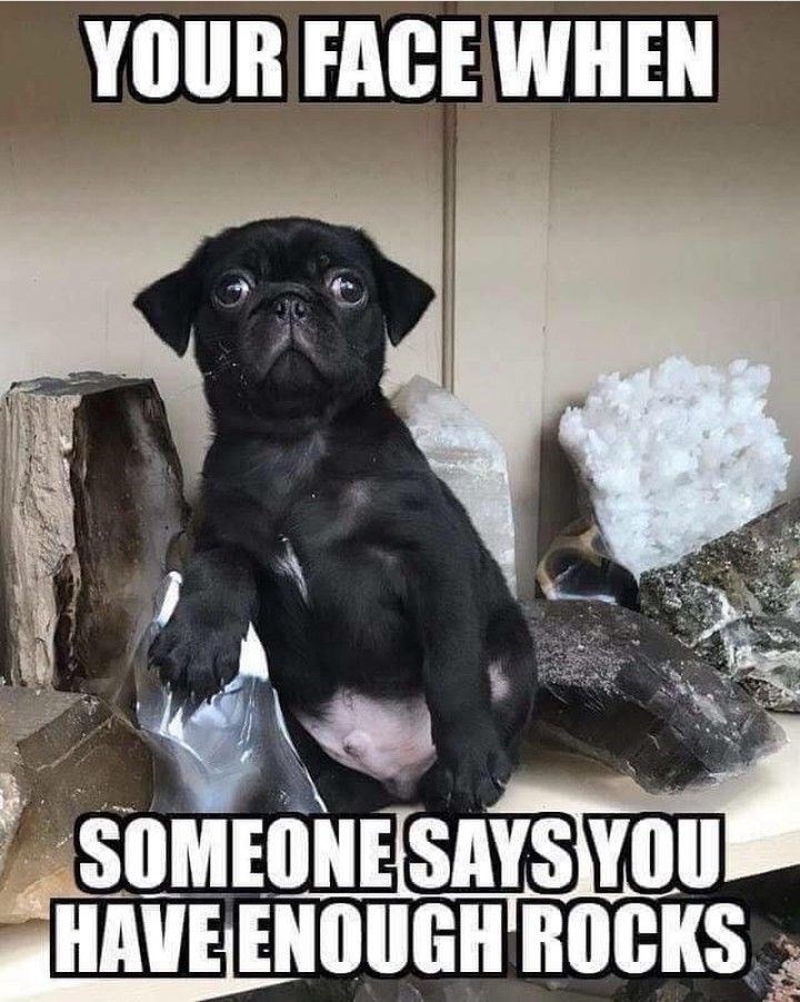 YOUR FACE WHEN SOMEONE SAYS YOU HAVE ENOUGH ROCKS