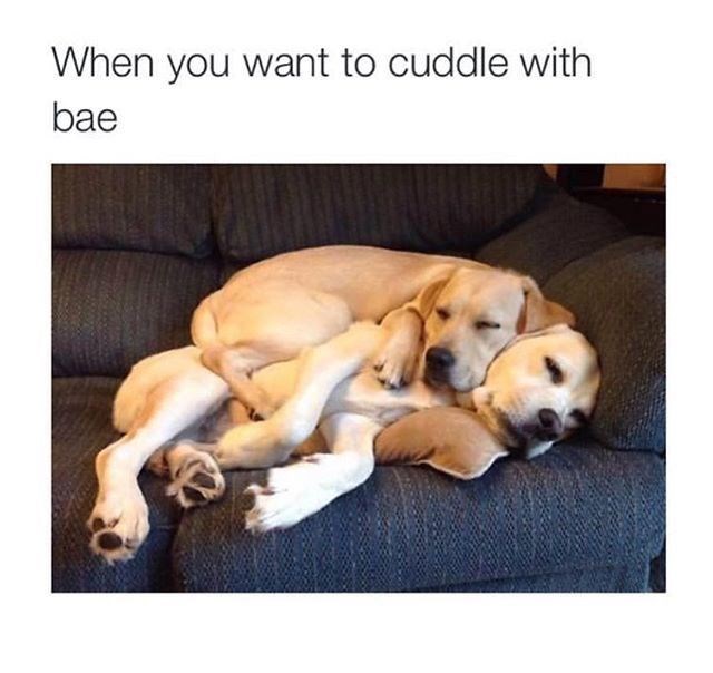 When you want to cuddle with bae