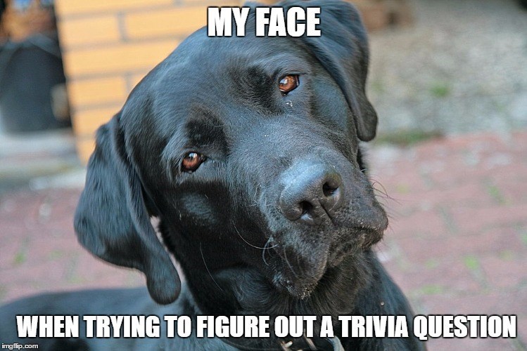 MY FACE WHEN TRYING TO FIGURE OUT A TRIVIA QUESTION imgflip.com