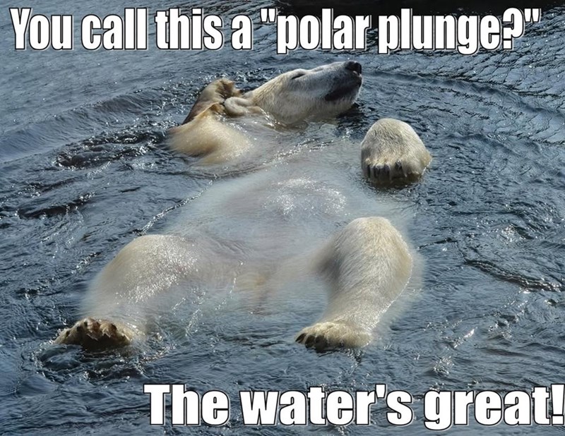 You call this a "polar plunge?" The water's great!