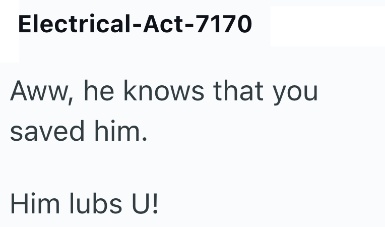 Electrical-Act-7170 Aww, he knows that you saved him. Him lubs U!