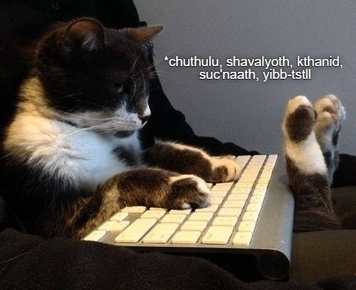 Cheezburger Image 10619539456