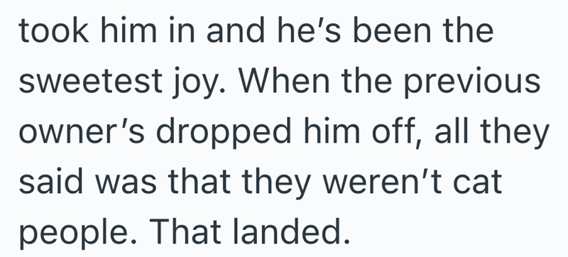 took him in and he's been the sweetest joy. When the previous owner's dropped him off, all they said was that they weren't cat people. That landed.