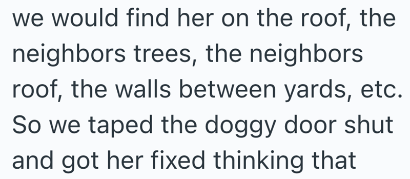 we would find her on the roof, the neighbors trees, the neighbors roof, the walls between yards, etc. So we taped the doggy door shut and got her fixed thinking that