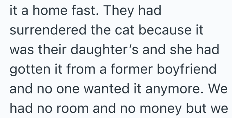 it a home fast. They had surrendered the cat because it was their daughter's and she had gotten it from a former boyfriend and no one wanted it anymore. We had no room and no money but we