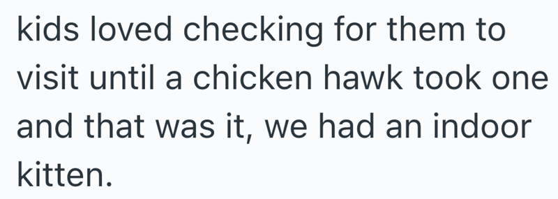 kids loved checking for them to visit until a chicken hawk took one and that was it, we had an indoor kitten.