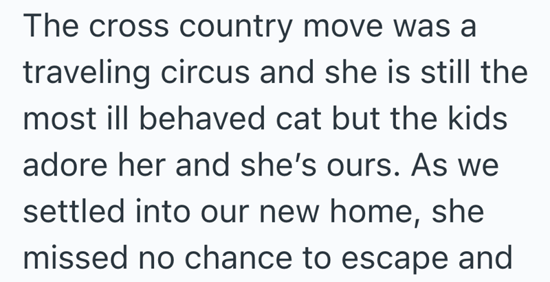 The cross country move was a traveling circus and she is still the most ill behaved cat but the kids adore her and she's ours. As we settled into our new home, she missed no chance to escape and
