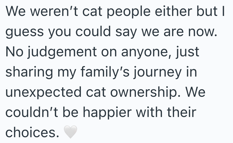 We weren't cat people either but I guess you could say we are now. No judgement on anyone, just sharing my family's journey in unexpected cat ownership. We couldn't be happier with their choices.