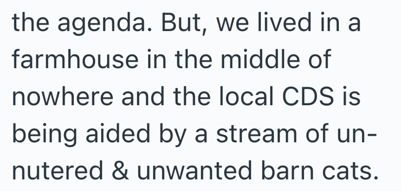 the agenda. But, we lived in a farmhouse in the middle of nowhere and the local CDS is being aided by a stream of un- nutered & unwanted barn cats.