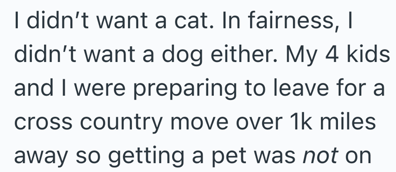 I didn't want a cat. In fairness, | didn't want a dog either. My 4 kids and I were preparing to leave for a cross country move over 1k miles away so getting a pet was not on