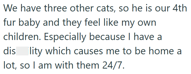 We have three other cats, so he is our 4th fur baby and they feel like my own children. Especially because I have a dis lity which causes me to be home a lot, so I am with them 24/7.